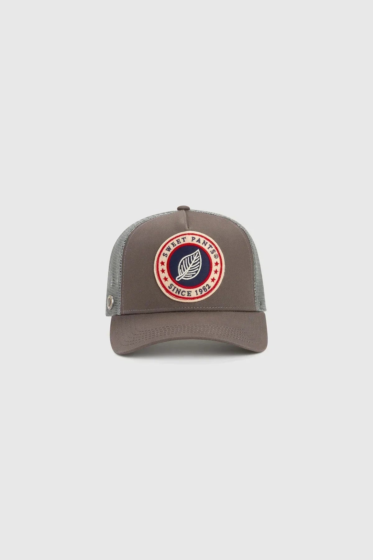 BASIC CT CAP CEMENT
